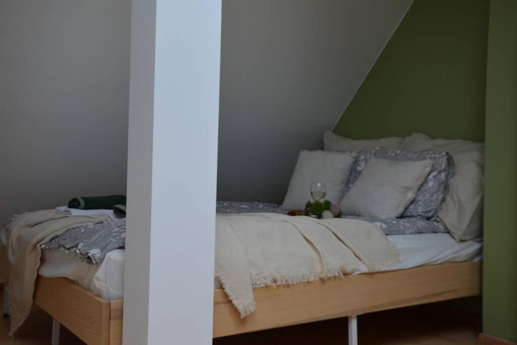 Apartament Ines Two Levels 105m2 In The Old Town Wi-fi, Olsztyn (Warmian-Masurian)